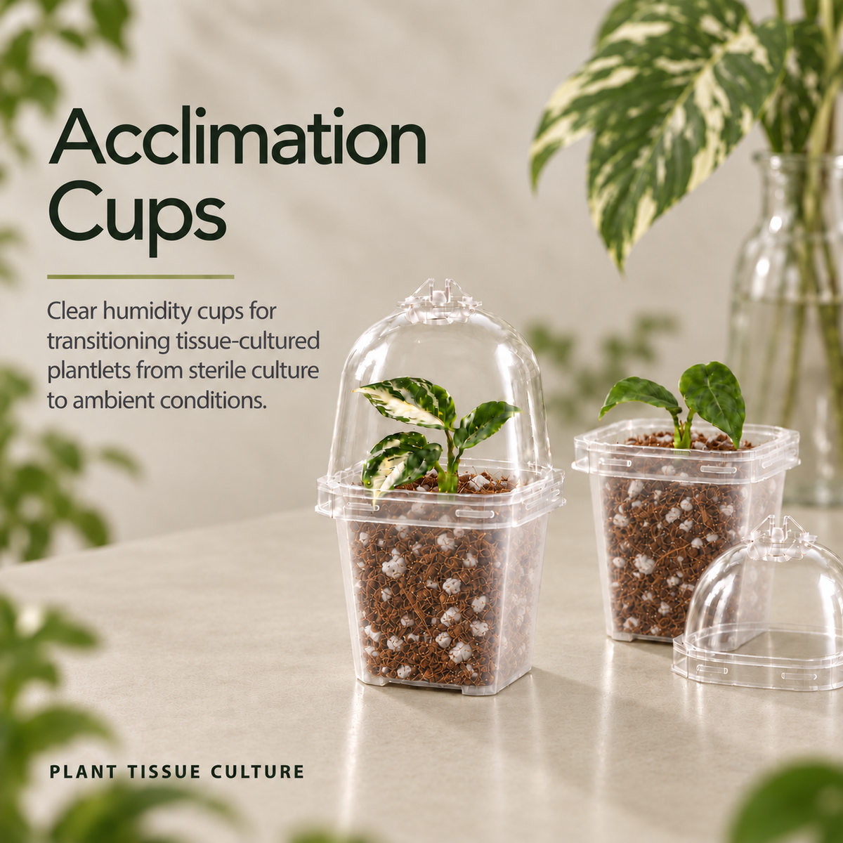 Acclimation Humidity Cups