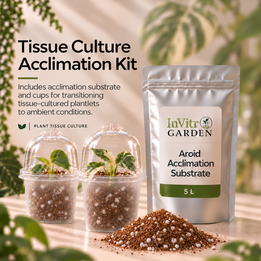 Tissue Culture Acclimation Kit